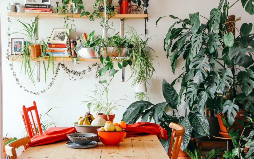 Indoor Plant Decoration Ideas: Tips for Adding Greenery to Your Home